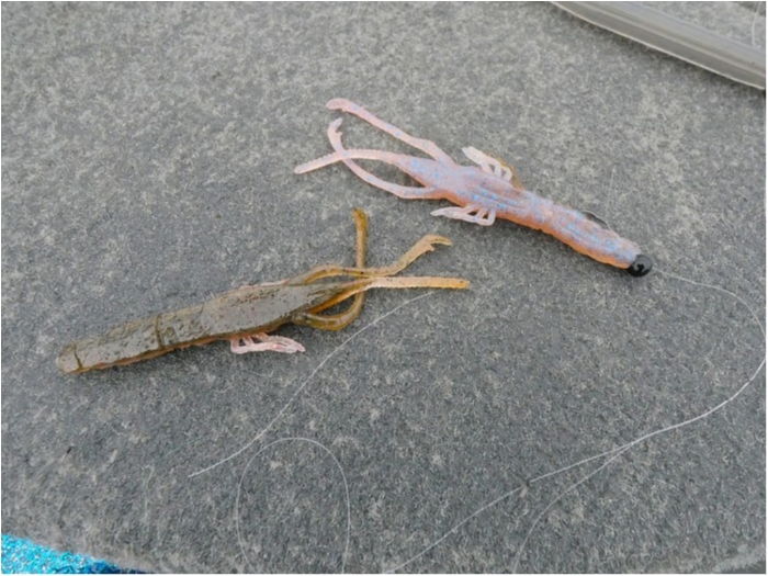 truth  ブログ写真 2019/03/04