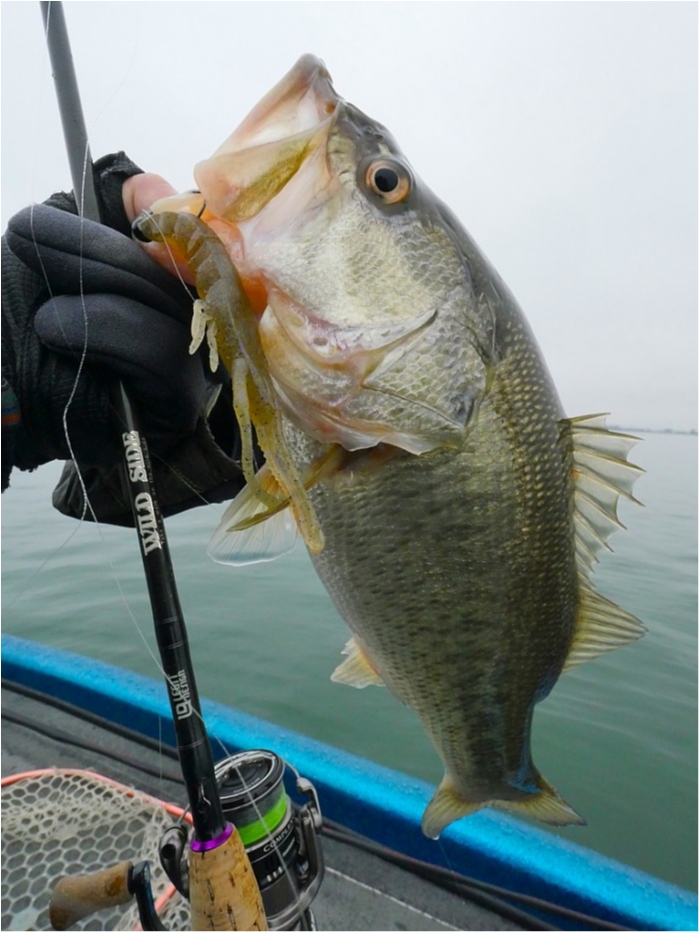 truth  ブログ写真 2019/03/04