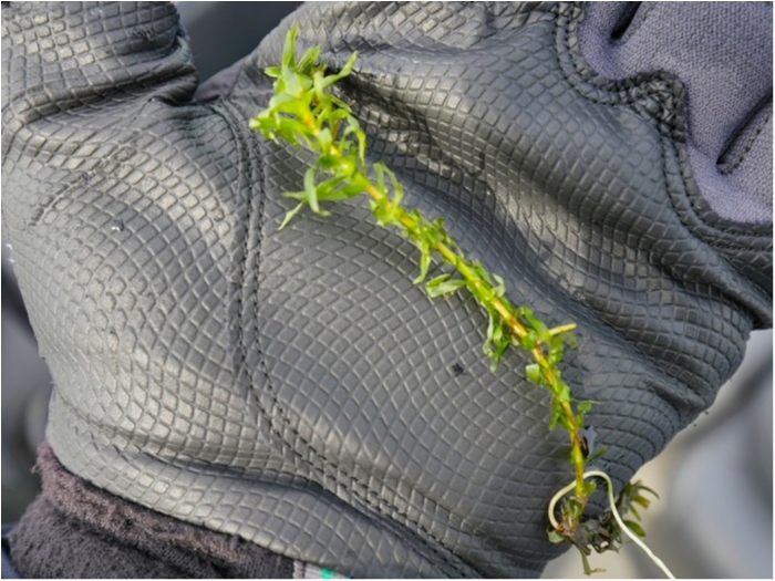 truth  ブログ写真 2019/03/06