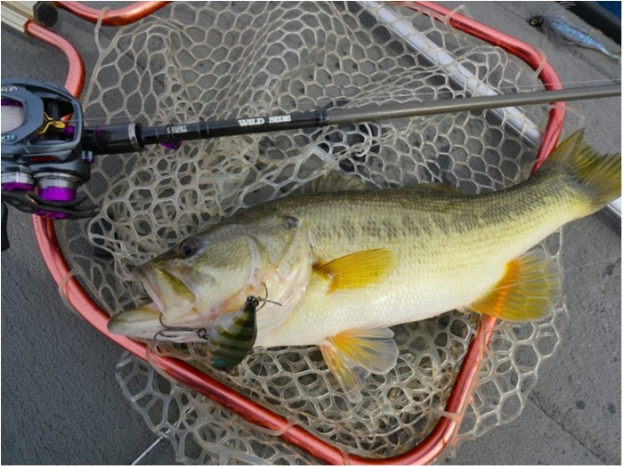 truth  ブログ写真 2019/03/06