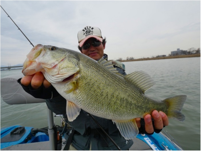 truth  ブログ写真 2019/03/06