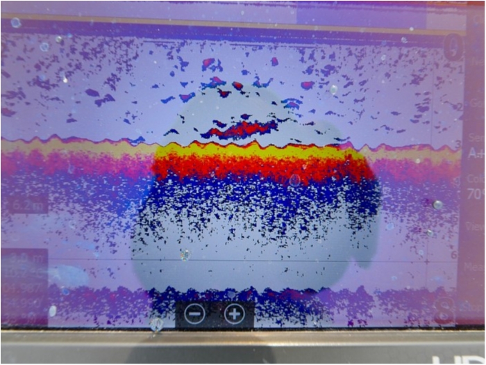 truth  ブログ写真 2019/03/06