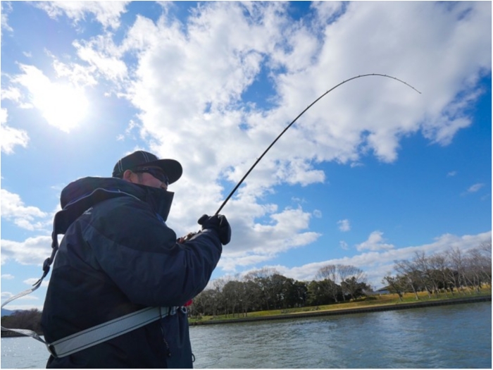 truth  ブログ写真 2019/03/08