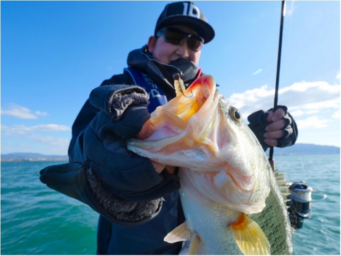 truth  ブログ写真 2019/03/08