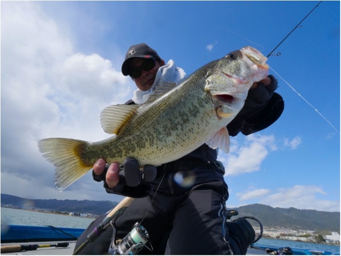 truth  ブログ写真 2019/03/13