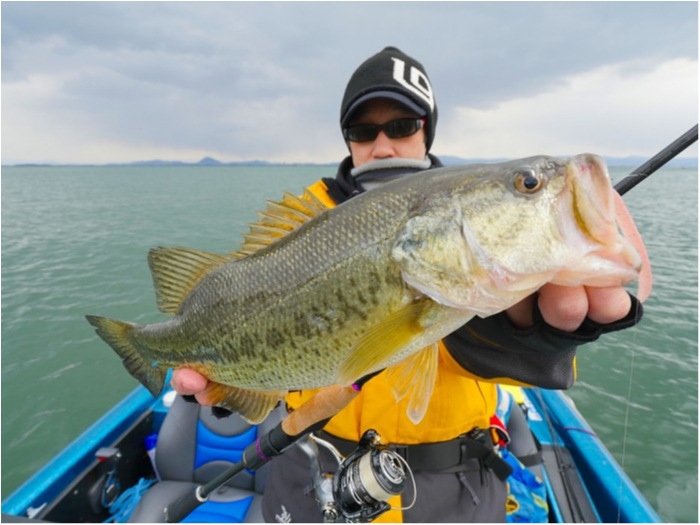 truth  ブログ写真 2019/03/14