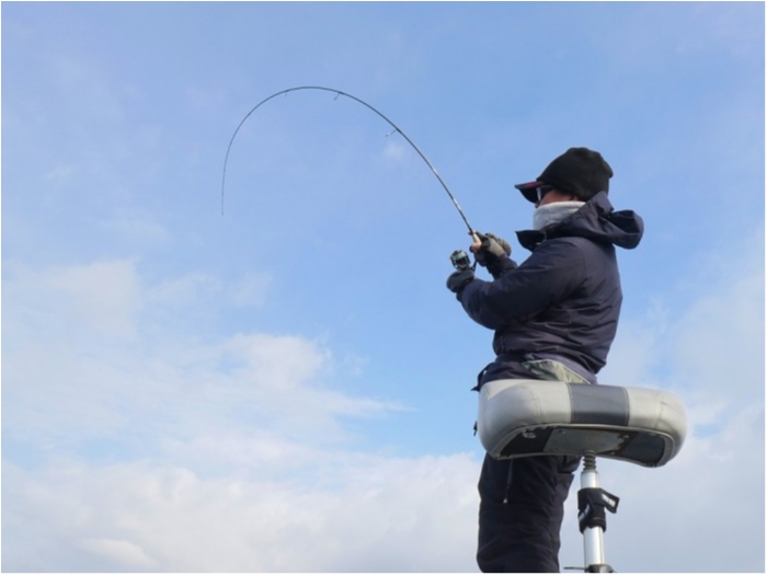 truth  ブログ写真 2019/03/14