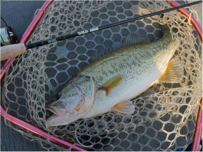 truth  ブログ写真 2019/03/14