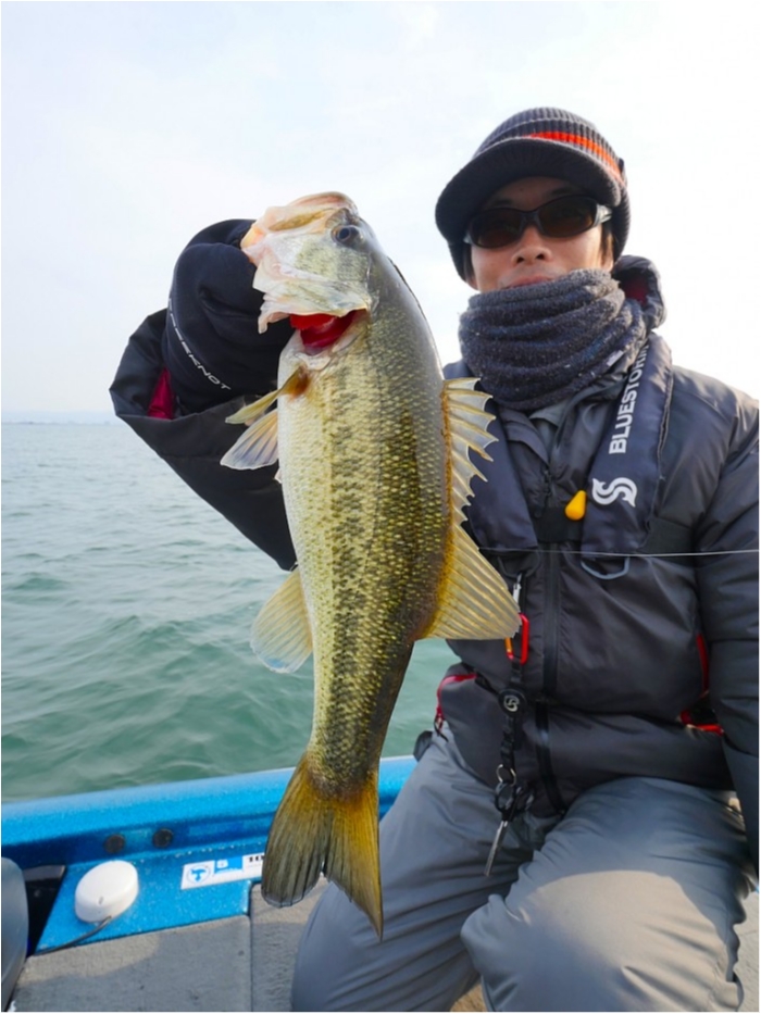 truth  ブログ写真 2019/03/15