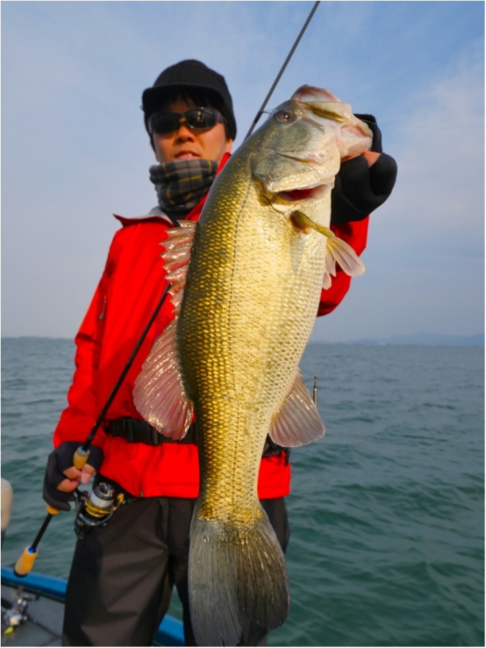 truth  ブログ写真 2019/03/15