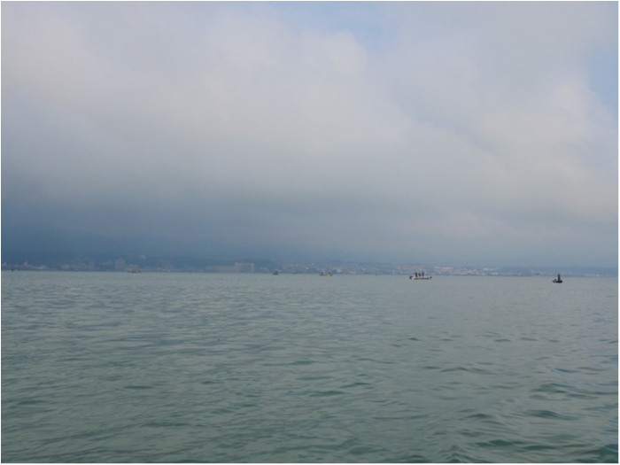 truth  ブログ写真 2019/03/16