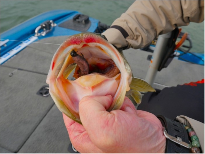 truth  ブログ写真 2019/03/16