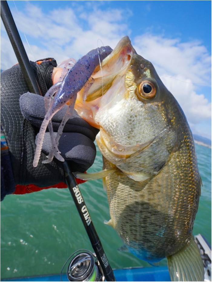 truth  ブログ写真 2019/03/16