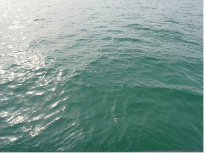 truth  ブログ写真 2019/03/18