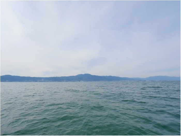 truth  ブログ写真 2019/03/18