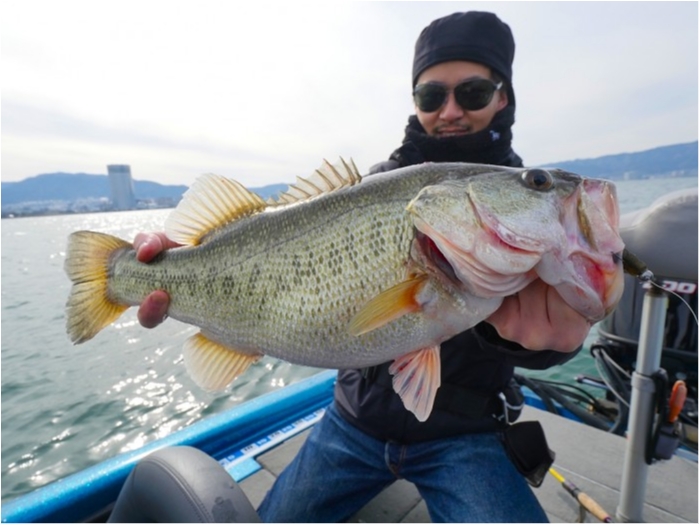 truth  ブログ写真 2019/03/18