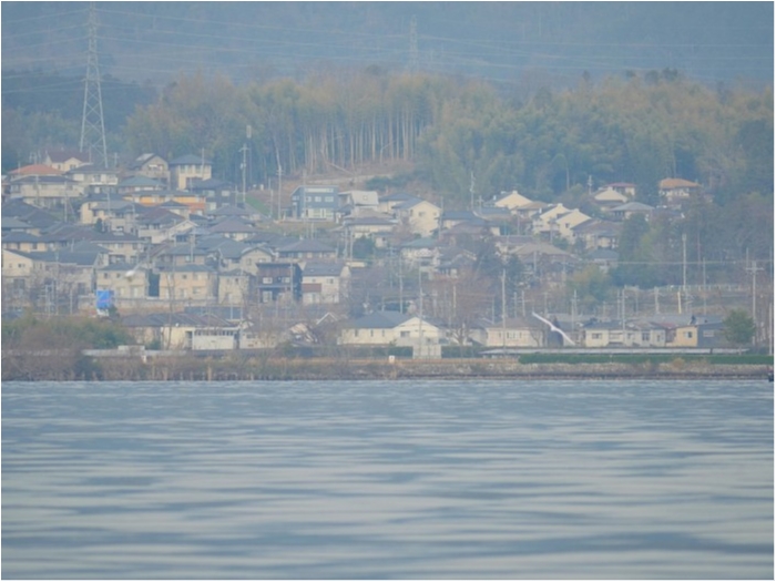 truth  ブログ写真 2019/03/19