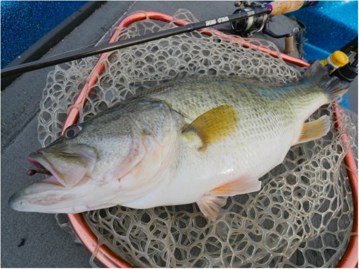 truth  ブログ写真 2019/03/19