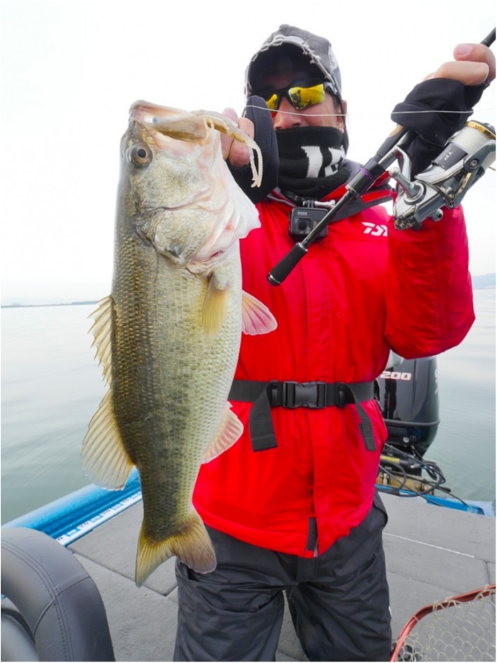 truth  ブログ写真 2019/03/19