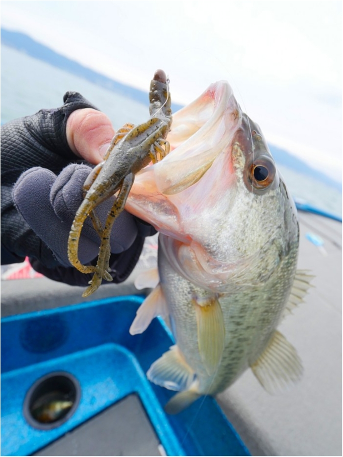 truth  ブログ写真 2019/03/19