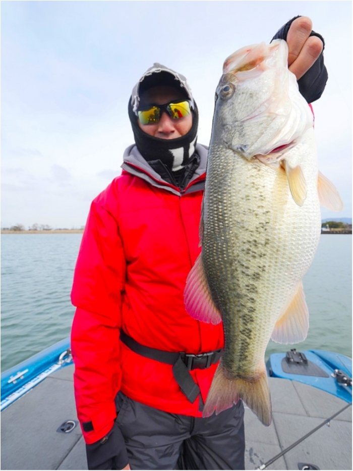 truth  ブログ写真 2019/03/19