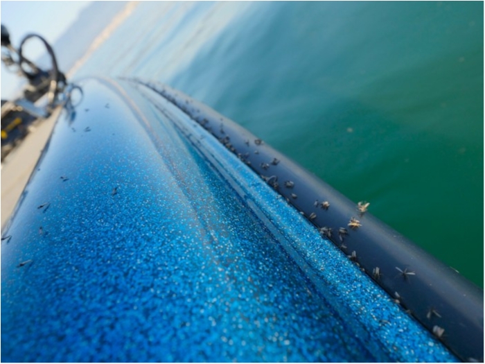 truth  ブログ写真 2019/03/21