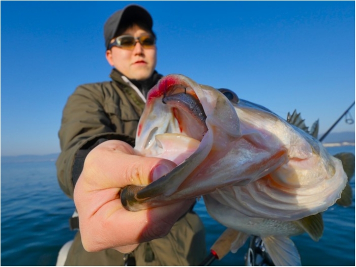 truth  ブログ写真 2019/03/21