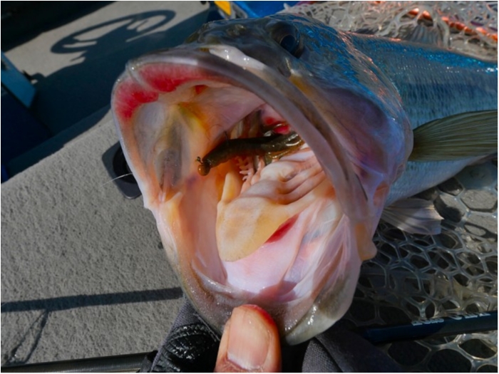 truth  ブログ写真 2019/03/21