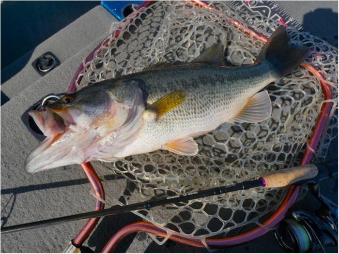 truth  ブログ写真 2019/03/21