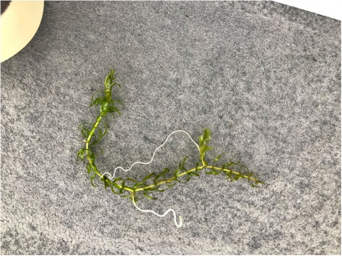 truth  ブログ写真 2019/03/21