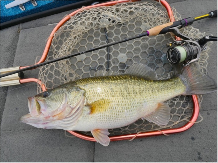 truth  ブログ写真 2019/03/23