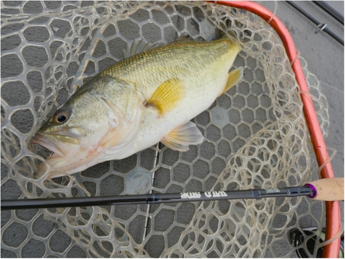 truth  ブログ写真 2019/03/23