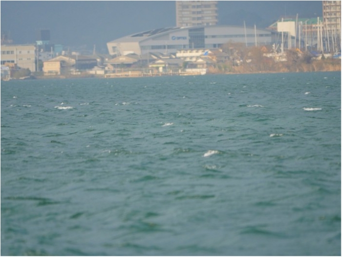 truth  ブログ写真 2019/03/23