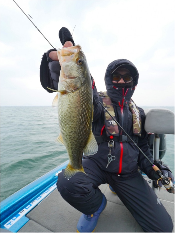 truth  ブログ写真 2019/03/23