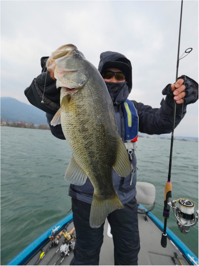 truth  ブログ写真 2019/03/23