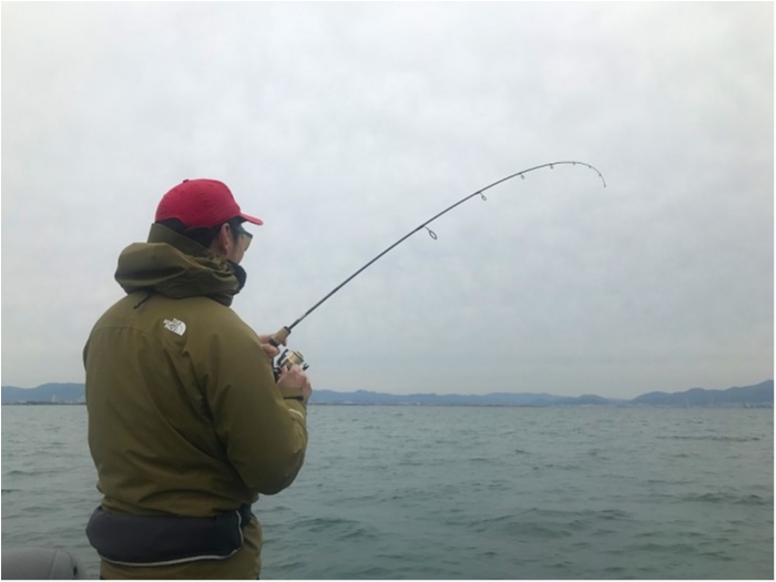 truth ブログ写真 2019/03/25