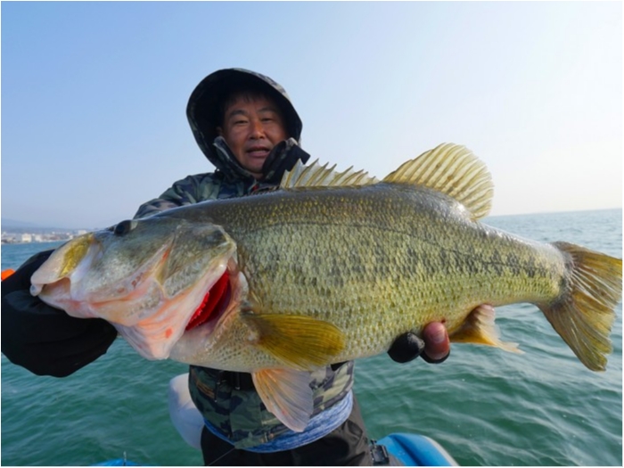 truth ブログ写真 2019/03/27