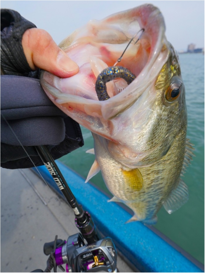 truth ブログ写真 2019/03/27