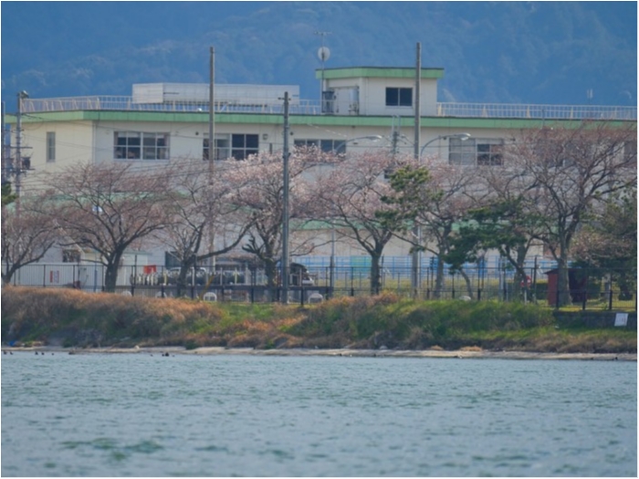 truth  ブログ写真 2019/04/02