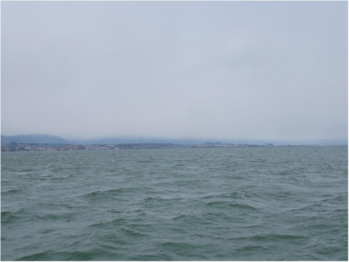 truth  ブログ写真 2019/04/02