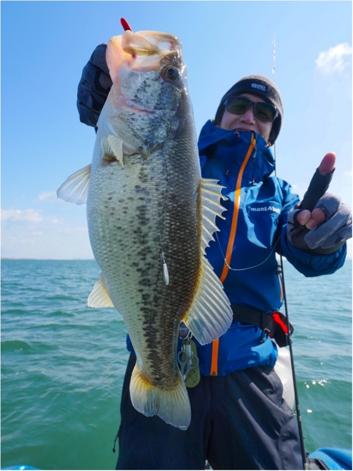 truth  ブログ写真 2019/04/02