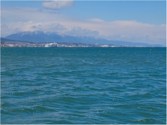 truth  ブログ写真 2019/04/02