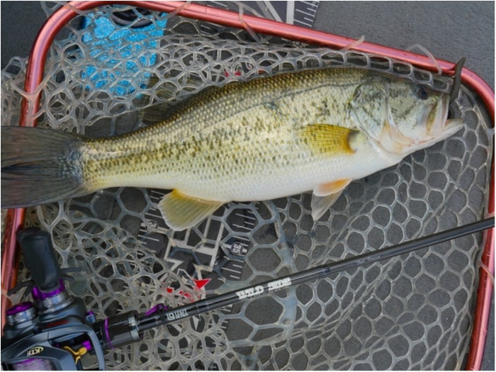 truth  ブログ写真 2019/04/03