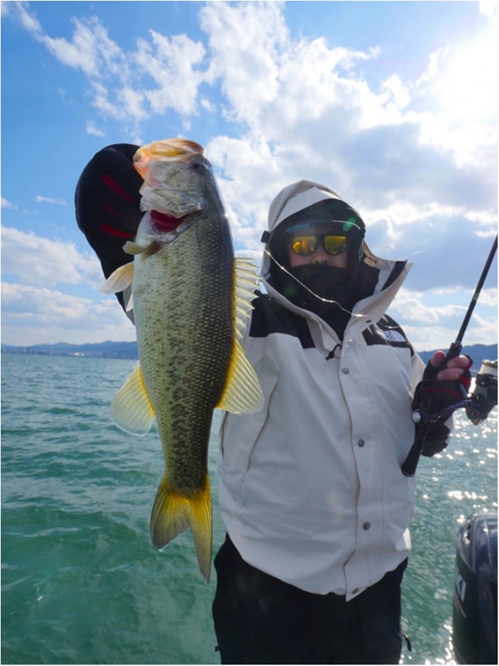 truth  ブログ写真 2019/04/03