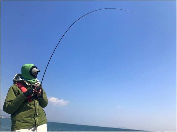 truth  ブログ写真 2019/04/04