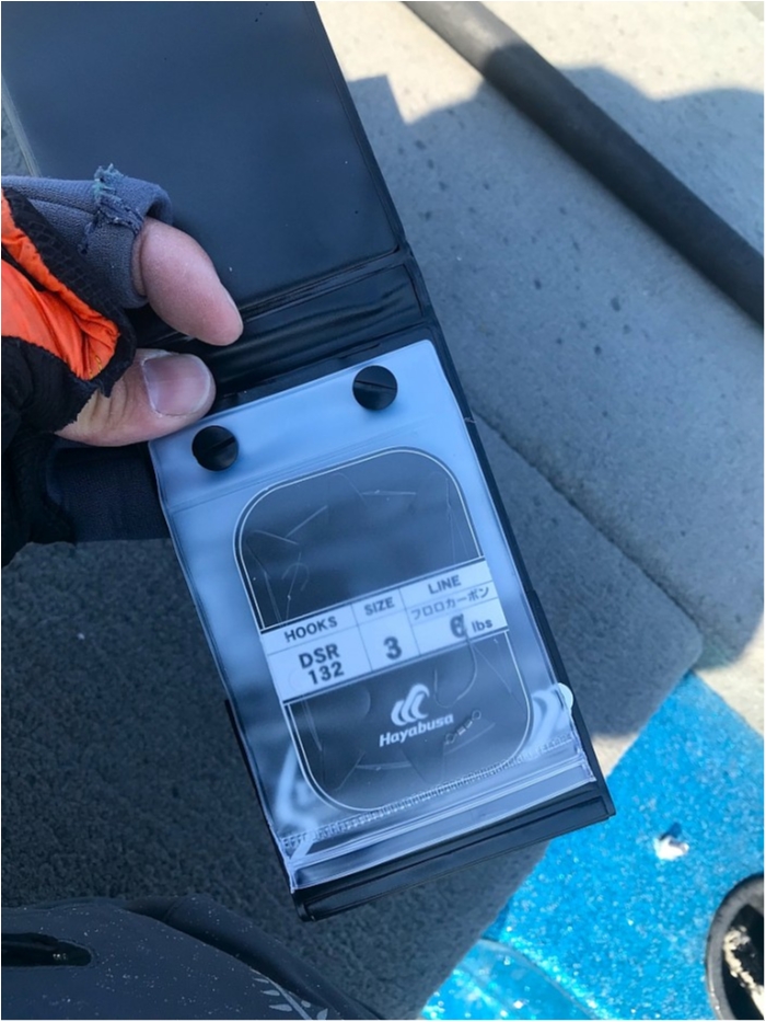 truth  ブログ写真 2019/04/04