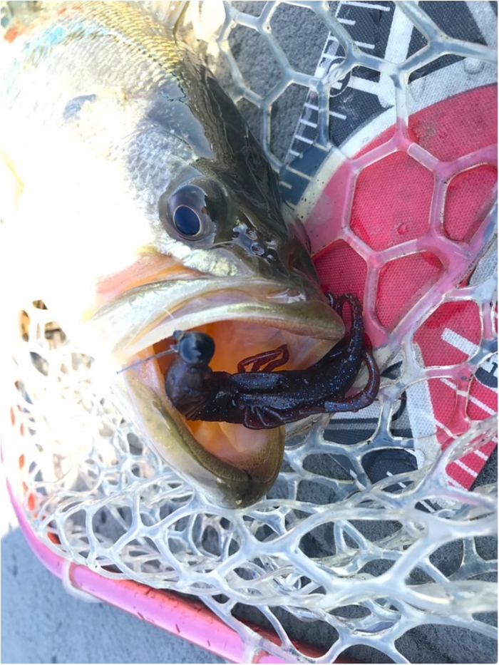 truth  ブログ写真 2019/04/04