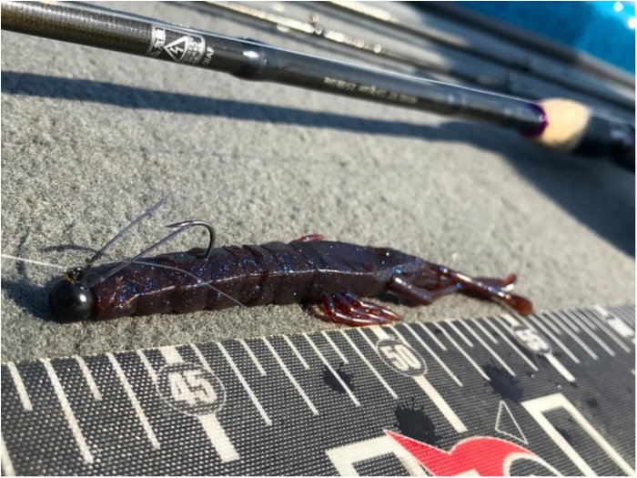 truth  ブログ写真 2019/04/04