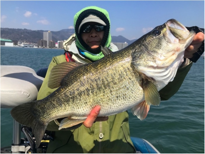 truth  ブログ写真 2019/04/04