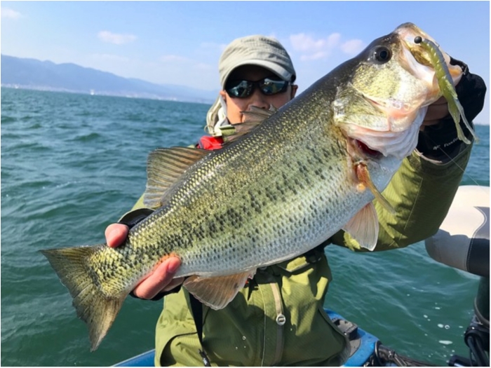 truth  ブログ写真 2019/04/04